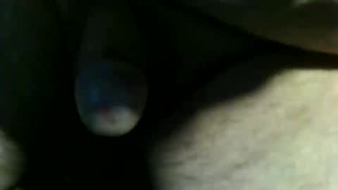 trailblazer1969 online show from 03.17.26