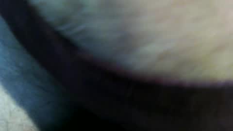 trailblazer1969 online show from 06.27.26