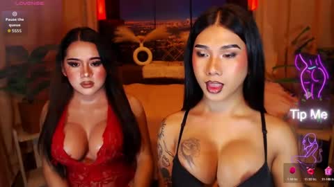 transpornidol online show from 07.25.26