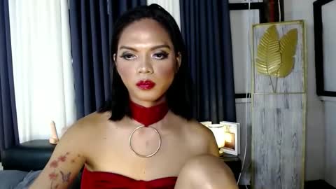 Snapshot of transsitips chatting on 12.05.25 transsitips online show from 12.05.25