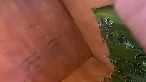 trebz_01 online show from 11.17.25