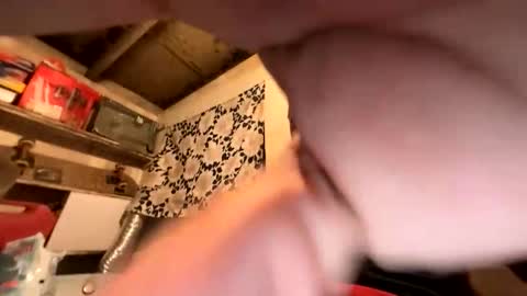 trees559 online show from 02.26.26