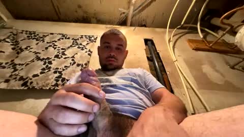 trees559 online show from 03.17.26