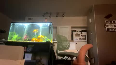 trickydick6 online show from 03.20.26