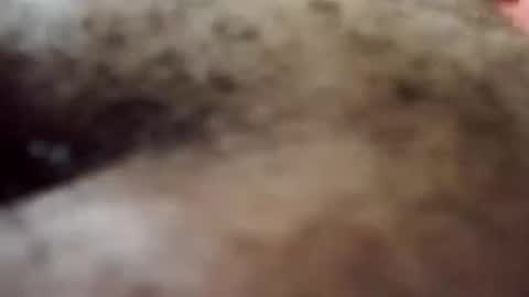 Antique-Shirt2516 online show from 10.08.25