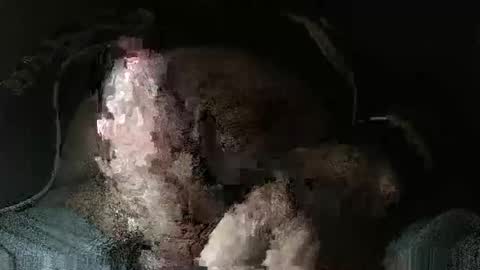 Snapshot of triponsex chatting on 03.24.26 triponsex online show from 03.24.26