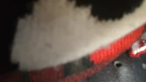 Snapshot of trobelle chatting on 12.26.24 trobelle online show from 12.26.24