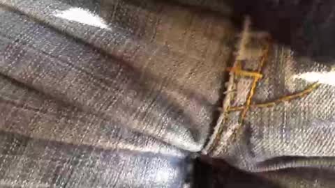 Snapshot of trobelle chatting on 11.18.25 trobelle online show from 11.18.25