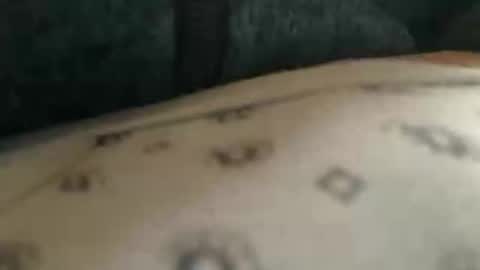 Snapshot of trobelle chatting on 11.25.25 trobelle online show from 11.25.25