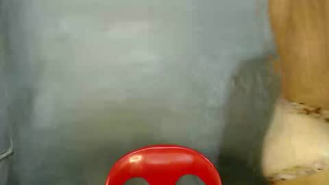 Snapshot of tspaulyn chatting on 01.07.26 Paulyn online show from 01.07.26