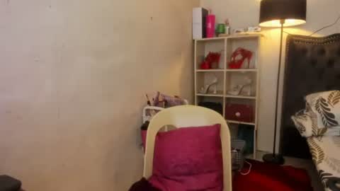 Snapshot of tsvanilla chatting on 01.23.25 Frankie online show from 01.23.25