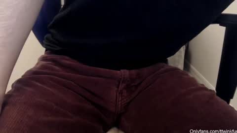 Snapshot of ttwinkfun chatting on 03.08.25 ttwinkfun online show from 03.08.25