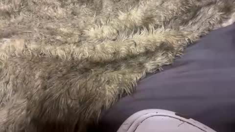 turntpixie online show from 03.07.26