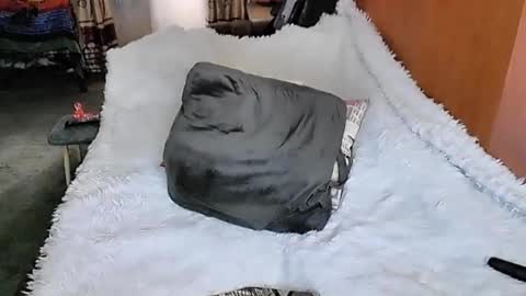 Lana online show from 03.11.25