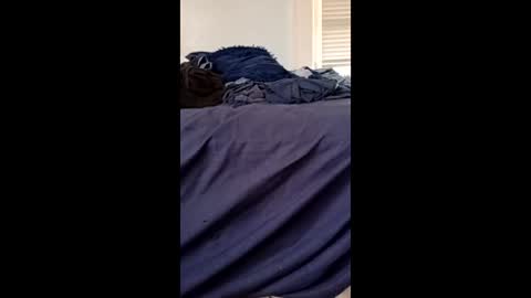 twe4kseeker online show from 04.21.26