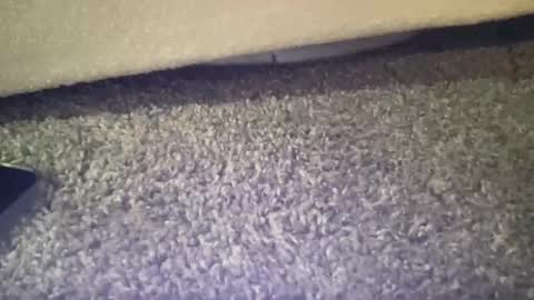 Snapshot of twinkgabe chatting on 02.16.26 twinkgabe online show from 02.16.26