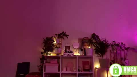 Snapshot of twix_girl chatting on 12.28.24 Stranger online show from 12.28.24