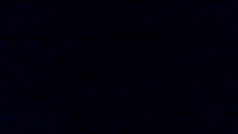 Snapshot of tyforsharing chatting on 01.17.25 Tyler Chen online show from 01.17.25