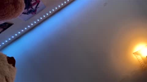 Snapshot of tyler1065 chatting on 02.17.26 SexLover online show from 02.17.26