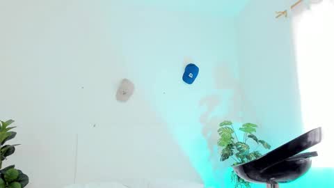 Tyler online show from 02.27.25