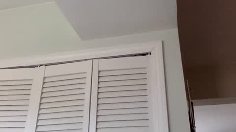 Tyler Durden online show from 03.01.25