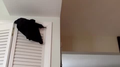 Tyler Durden online show from 03.02.25