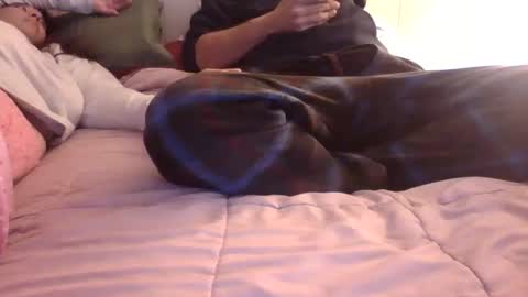 u_caught_us online show from 12.06.24