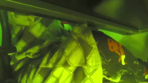 Snapshot of uncleremusway chatting on 01.16.25 uncleremusway online show from 01.16.25