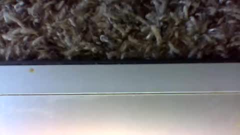 tele kuzhbuzh online show from 01.24.25