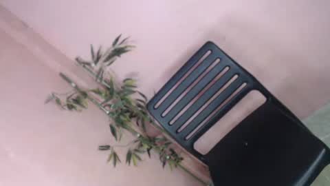 unknown_trans18 online show from 04.05.26