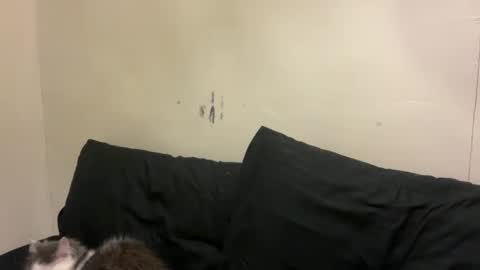 Bran online show from 03.10.26