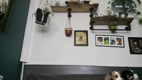 Snapshot of urdreamswonder chatting on 02.08.26 MYMY online show from 02.08.26