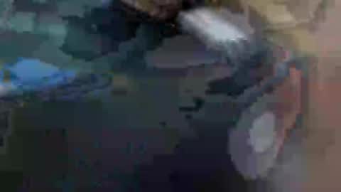 fiona online show from 01.29.25