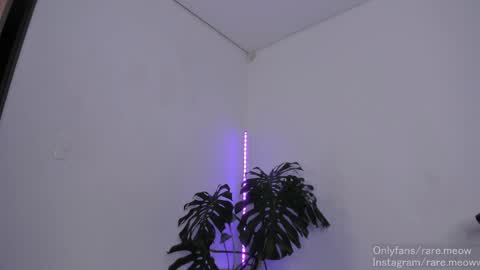    online show from 04.29.26
