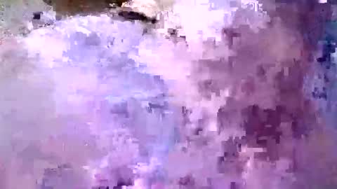 valdiciorocha6 online show from 06.04.26