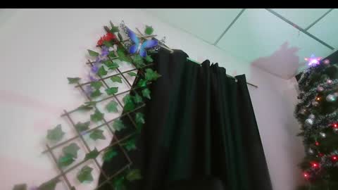 Snapshot of vale_bunny chatting on 12.16.24 Valery online show from 12.16.24