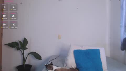 IG-valen mendoza99  twitter valenthompson99 online show from 04.11.26