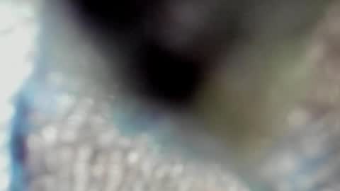 valeri_tafur online show from 10.13.25