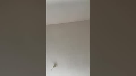 Snapshot of valerianleclercq2025 chatting on 02.27.26 valerianleclercq2025 online show from 02.27.26