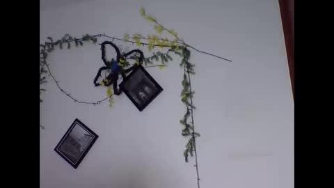 valery_honey_ online show from 06.02.26