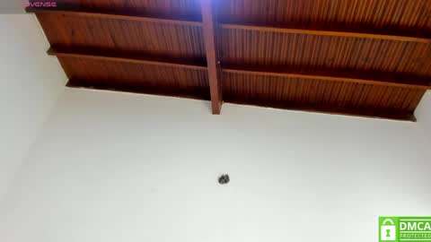 valtira nova online show from 03.23.26