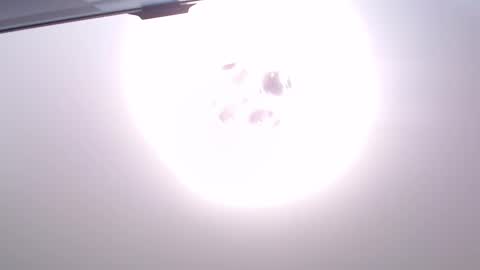 Van online show from 12.18.25