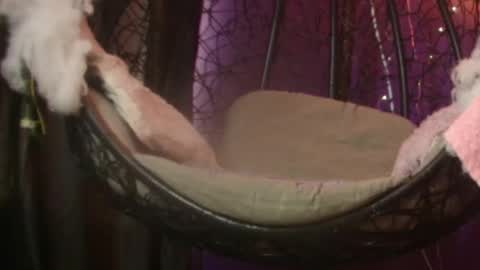 Vanelope online show from 11.28.25