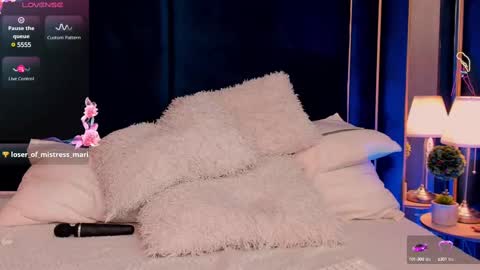 Snapshot of vanessaangelx chatting on 03.11.25 Vanessa Diamond online show from 03.11.25