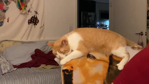 Snapshot of vanessapark chatting on 12.15.25 Vanessa online show from 12.15.25