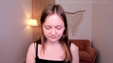 Snapshot of vanilla_echo_ chatting on 04.02.26 vanilla_echo_ online show from 04.02.26