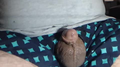 vanrijt online show from 01.06.26