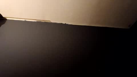 vegeto222 online show from 11.23.25