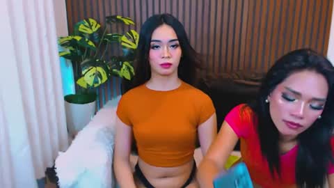 Velvet online show from 07.25.26