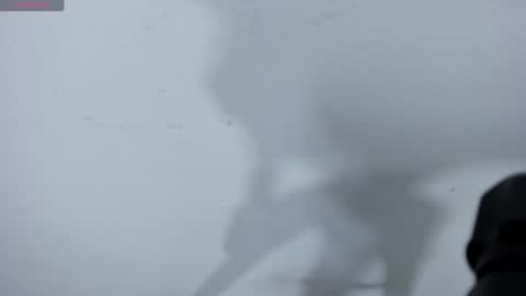 veneno hot online show from 02.08.25